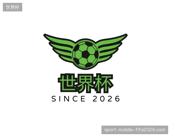 解读世界杯中国官网